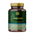 BIOVAYA Tribulex / 60 Caps