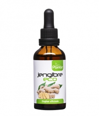 ARTESANIA AGRICOLA Ginger (Tincture) / 50 ml