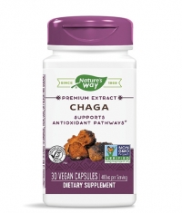 NATURES WAY Chaga 480mg. / 30 Vcaps.