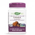 NATURES WAY Chaga 480mg. / 30 Vcaps.