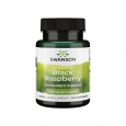 SWANSON Full Spectrum Black Raspberry 425mg. / 60 Caps