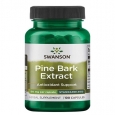 SWANSON Pine Bark Extract 50mg. / 100 Caps