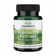 SWANSON Ecklonia Cava Extract 53mg. / 30 Vcaps