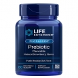 LIFE EXTENSION Prebiotic / 60 Chews