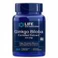 LIFE EXTENSION Ginkgo Biloba Certified Extract™ 120 mg / 365 Caps