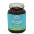 MATTISSON Absolute Collagen Type 2 Peptan / 60 Caps