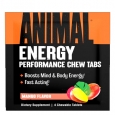 ANIMAL Energy Chews Sample / 4 Chews
