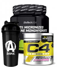 PROMO STACK WD 11.10.24 Stack 1