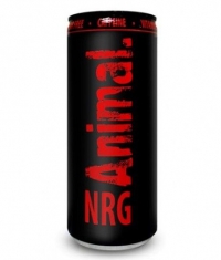 UNIVERSAL ANIMAL Animal NRG / 250ml