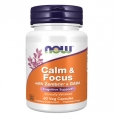 NOW Calm & Focus with Zembrin & GABA / 60 Vcaps