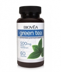 BIOVE_OLD_A Green Tea 500 mg / 60 Caps
