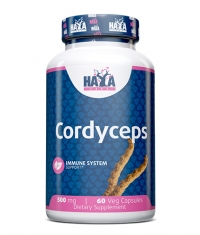HAYA LABS Cordyceps 500 mg / 60 Caps
