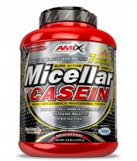 AMIX Micellar Casein 1000g.