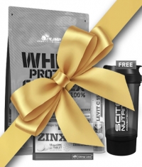 PROMO STACK 10.12.2023