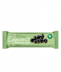 GAM'S Vegan Protein Bar / 40 g