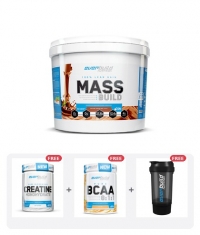 PROMO STACK EVERBUILD 1+3 FREE GIFTS 2