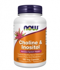 NOW Choline & Inositol 500mg. / 100 Caps.