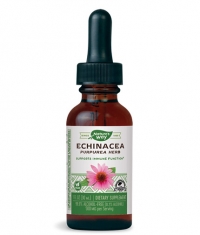 NATURES WAY Echinacea 1 oz 30 ml