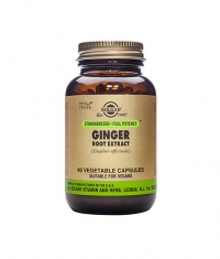 SOLGAR Ginger Root Extract, S.F.P. 60 Caps.