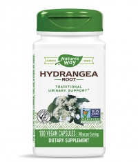NATURES WAY Hydrangea Root 100 Caps.