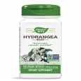 NATURES WAY Hydrangea Root 100 Caps.