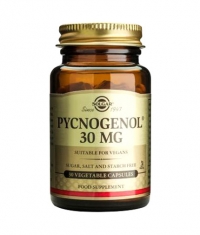 SOLGAR Pycnogenol 30mg. / 30 Caps.