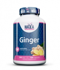 HAYA LABS Ginger 250mg. / 120 Vcaps.