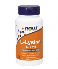NOW L-Lysine 500mg. / 250 Tabs.