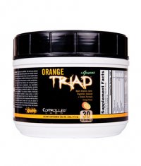 CONTROLLED LABS Orange Triad + Greens 30 Serv.