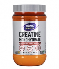 NOW Creatine Monohydrate Powder