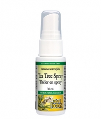 NATURAL FACTORS Tea Tree Spray / 30ml