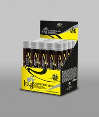 4+ NUTRITION LIQUID CARNI + / 20x33mg