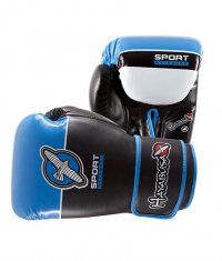 HAYABUSA FIGHTWEAR Sport 16oz Training Gloves / Blue