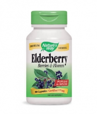 NATURES WAY Elderberry Berries & Flowers 100 Caps.