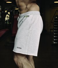 UNTIRINGUS Shorts / grey