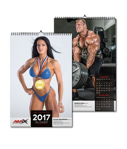 amix Calendar 2015